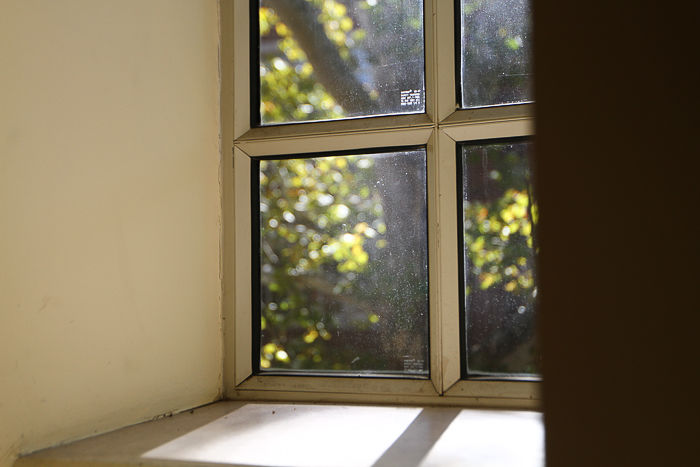 Window